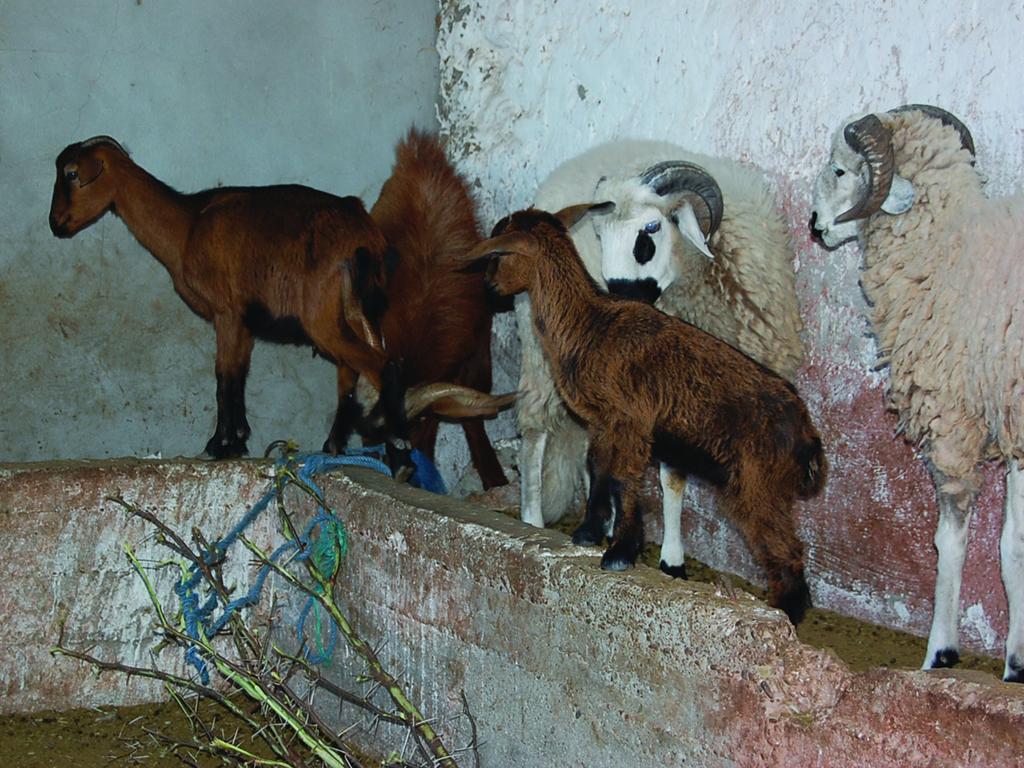 Gite Souss Oulad Teïma Zewnętrze zdjęcie