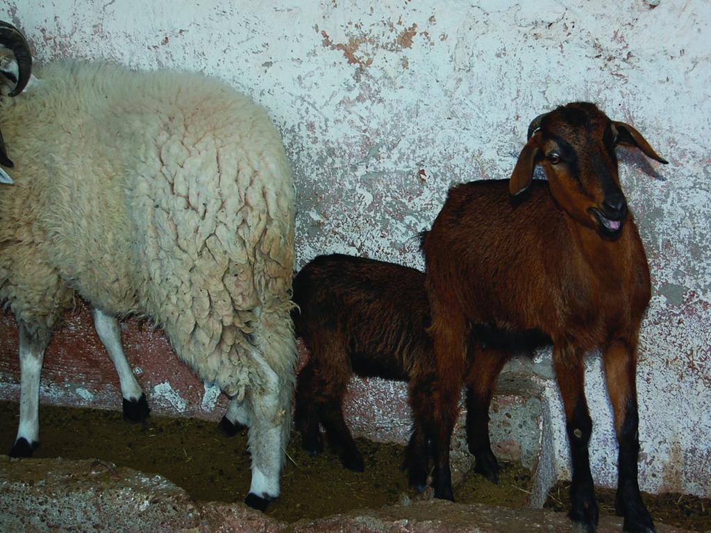 Gite Souss Oulad Teïma Zewnętrze zdjęcie