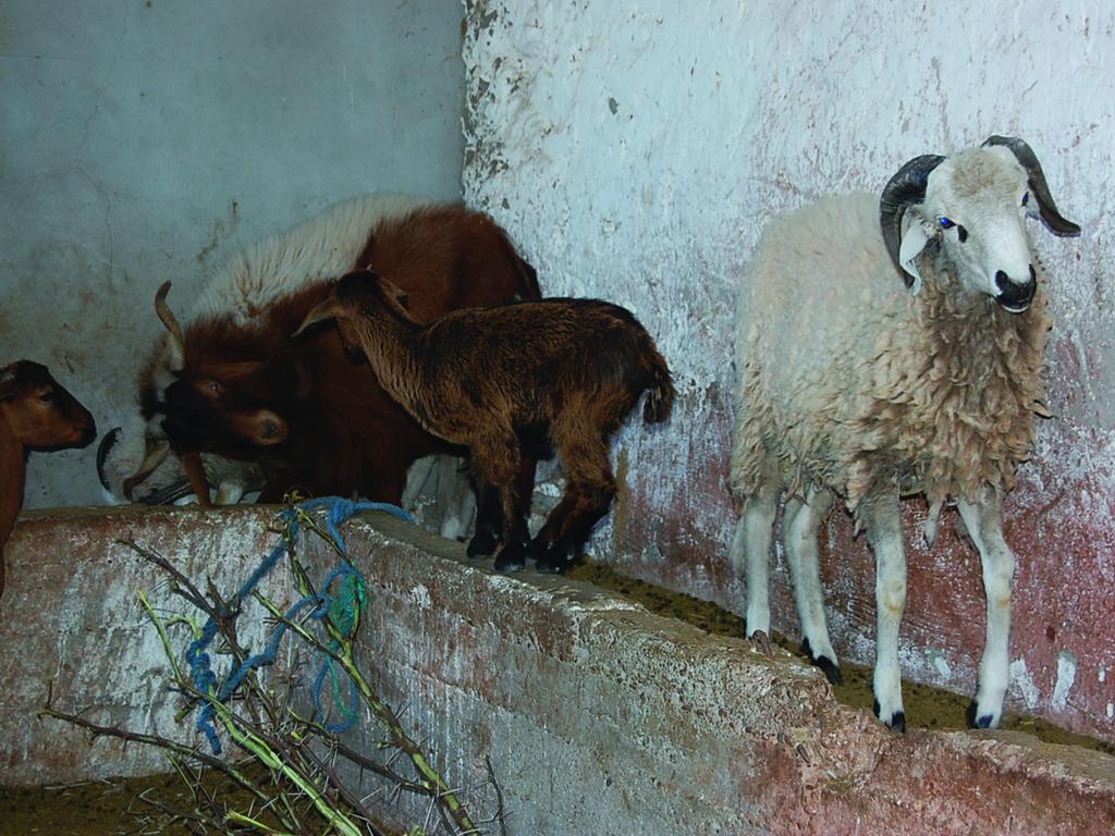 Gite Souss Oulad Teïma Zewnętrze zdjęcie